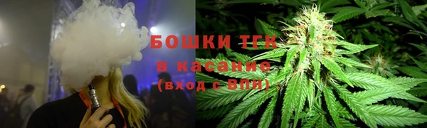 эйфоретик Баксан