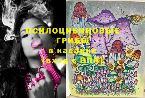 стафф Беломорск