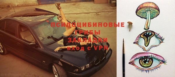 эйфоретик Баксан